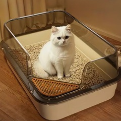 ペット用トイレの画像