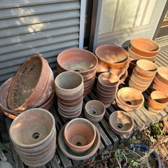 商談中 ①植木鉢　日本庭園　庭　園芸　の画像