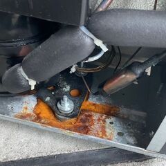 【RKGRE-649】特価！THANKO/S-RFS20B/日本酒 一升瓶 ワイン セラー/ペルチェ/一升瓶5本縦置き可能/中古の画像