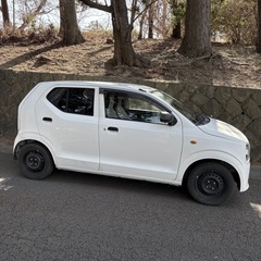 2016年製スズキアルト★車検ありの画像
