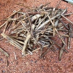 【薪】焚き火の焚きつけ用の画像