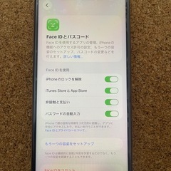 iPhone 11pro max  256GBの画像