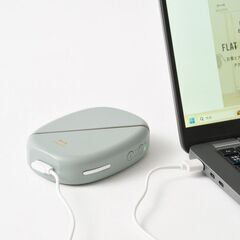 開店記念 特価 未使用 BRUNO ブルーノ 温冷 EMS フェイシャルリフト BOE145-GRの画像