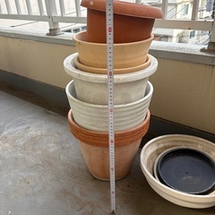 植木鉢いろいろの画像