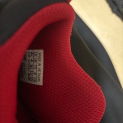 バッシュ
の画像