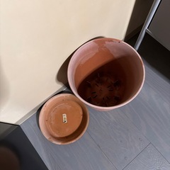 大きい植木鉢の画像