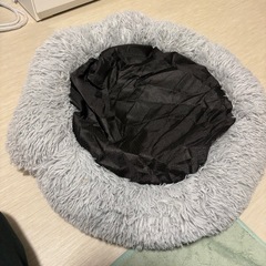 猫用クッションの画像