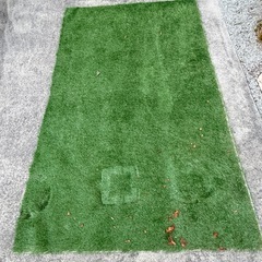 人工芝の画像