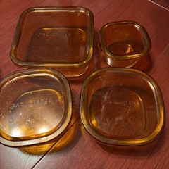 イワキガラスの画像