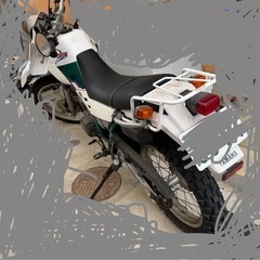 セロー225 4JGの画像