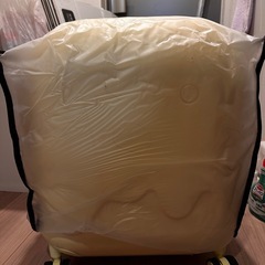 ミニスーツケース(ケースビニール込み)の画像