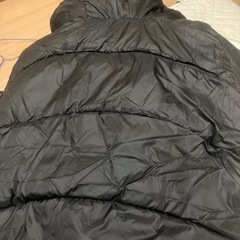 新品ダウンLの画像