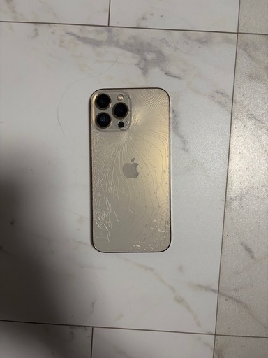 iPhone13promax 256g
