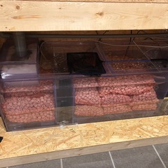 【大型オーバーフロー水槽一式】1800×600×600 黒アクリル・即立ち上げ可の画像