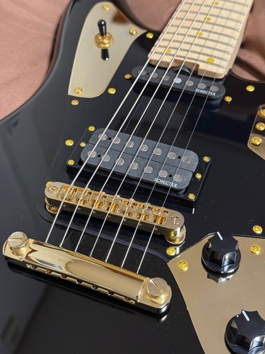 SCHECTER AveMujica Doloris 7弦 (dive) 倉吉の弦楽器、ギターの中古