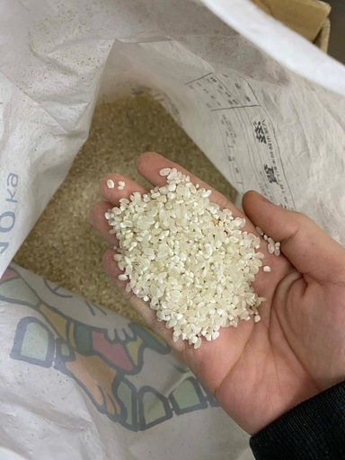 10kg 5500円新米訳あり配達可能