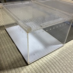 爬虫類アクリルケージ　3個セットの画像