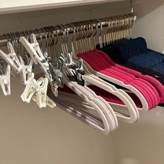 ベロアハンガー36本&スラックスハンガー13本の画像