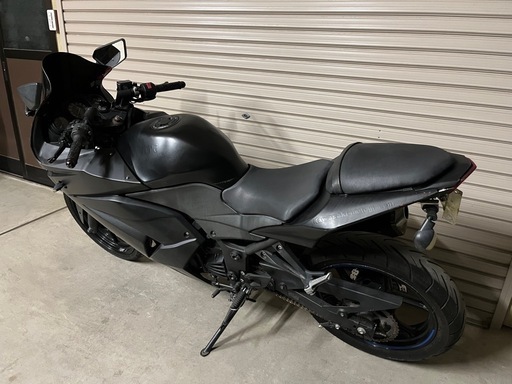 Kawasaki NINJA250R セル始動 プラグ新品 EX250K-A44 ninja ニンジャ