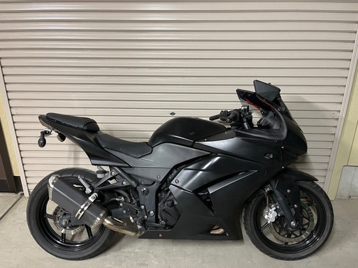 Kawasaki NINJA250R セル始動 プラグ新品 EX250K-A44 ninja ニンジャ