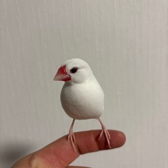 【⭐︎新品未開封⭐︎】ラヴディブッシュデイリーメンテナンスミニ　1.25kgの画像