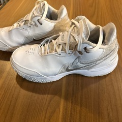 NIKEレブロン　NXXT Gen AMPD EP 27.5cm ㉖の画像