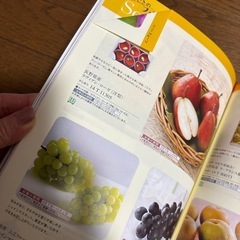 カタログギフト　yamato ベストグルメ　セルヴァンテス　9,900円相当の画像