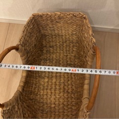 【無料】大きなカゴバッグの画像