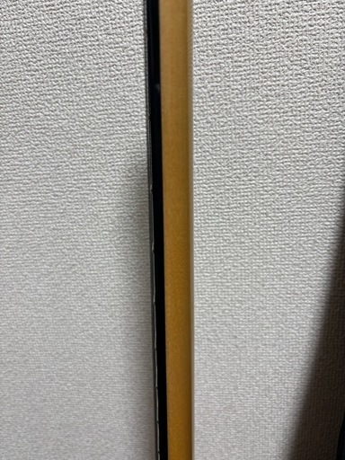 Steinberger spirit GT-PRO ヘッドレスギター　ケース付き　アーム付き 