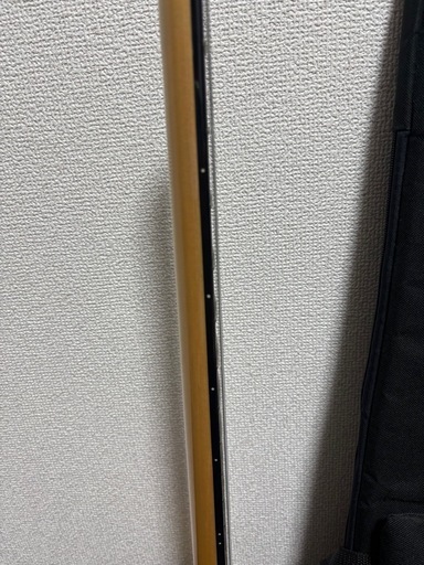 Steinberger spirit GT-PRO ヘッドレスギター　ケース付き　アーム付き 