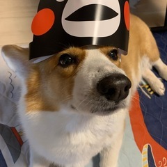 ワンコの爪切りお願い出来る方 - 手伝って/助けて