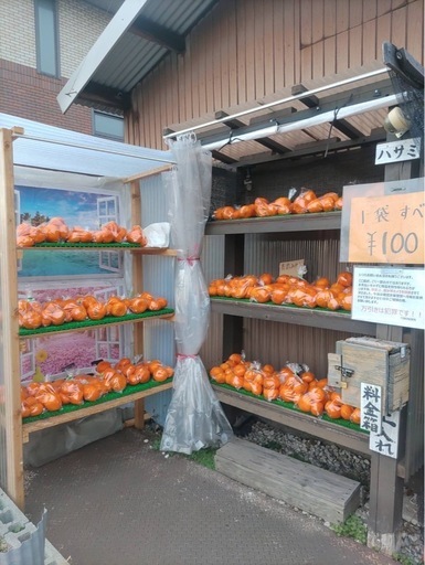 みかん全部100円⭐︎無人販売にて販売中 (TOKITAI ) 高城の食品の中古