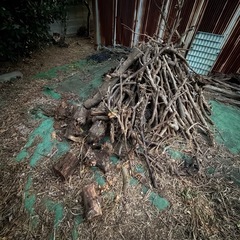 薪
の画像