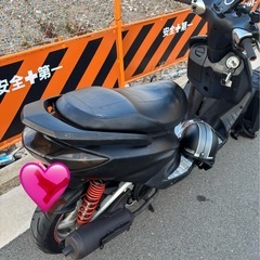 シグナスxの画像