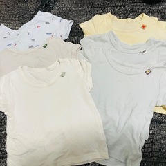 90cm夏半袖16枚の画像