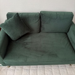 LOWYAの2人掛けソファ  ベルベット調 ポケットコイル の画像