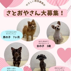 さとおやさん募集