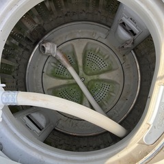 洗濯機4.2キロの画像