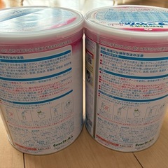 BeanStalk すこやか 粉ミルク 800g 2缶の画像