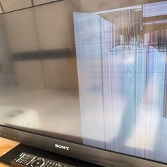 テレビの画像