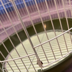 マルカン 鳥ケージ 　インコ、文鳥など小鳥用 鳥かごの画像