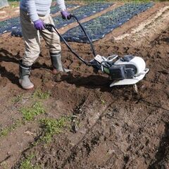 【 日払い 】農作業スタッフ＜町田駅＞の画像