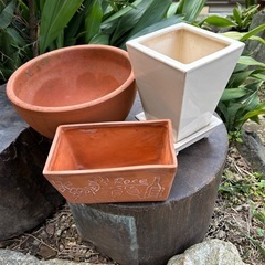 【無料】植木鉢3点の画像
