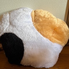 ねこのての画像