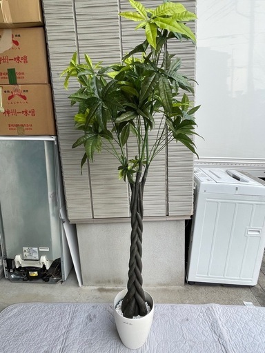 ●■★フェイクグリーン 大型 パキラ  人工観葉植物 観葉植物 造花　163cm