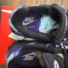 NIKE AIR MAX 95   　の画像