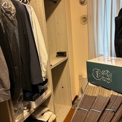 【引渡決定】ニトリNクリックディープ：2段ハンガー×３台の画像