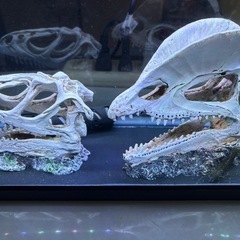 スリム60cm水槽セットの画像