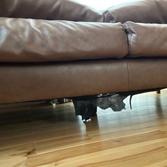 ソファ ブラウンレザー クッション 足付きの画像