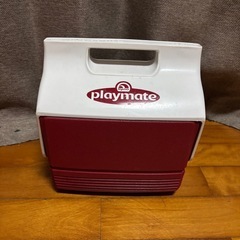 ダイワ　ノンスリップトランク大将II3500の画像